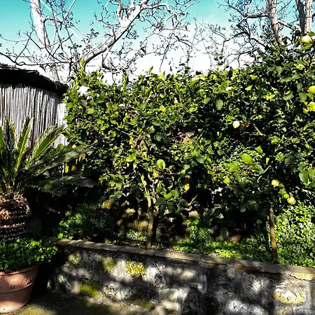 Holiday home Casa Dolce Casa Massa Lubrense